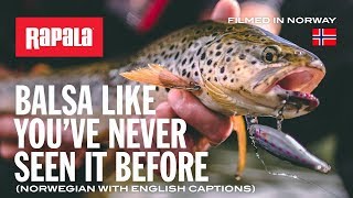 Rapala BX Minnow 10 SMT