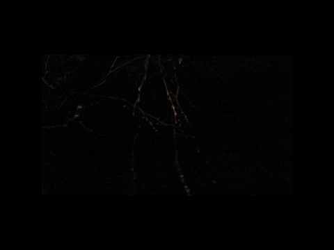 Next Year This Time (lyrics)