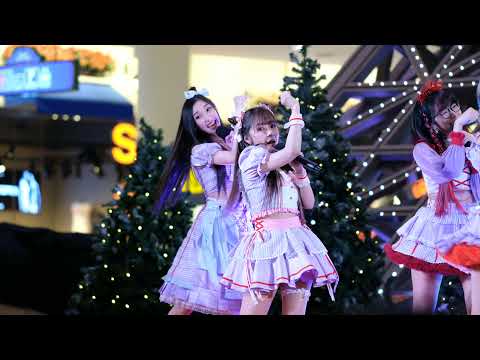 Castella Cat Slave 2021.12.31 Terminal21 Pattaya