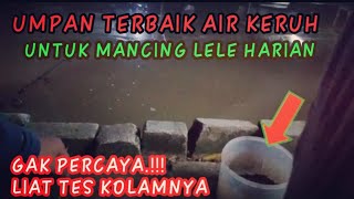 Download lagu UMPAN IKAN LELE HARIAN PALING JITU TAPI JUARA // TES UMPAN DI KOLAM AIR KERUH mp3