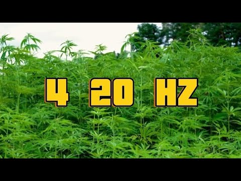 1M - 420Hz (THE HEALING OF THE NATIONS)