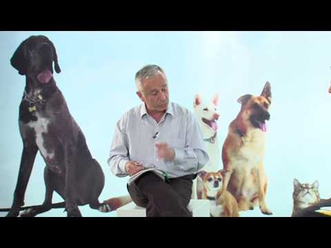 Fisi I Faunes - Episodi 4