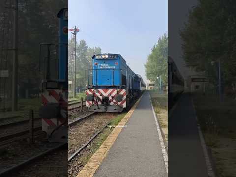 EMD-GT22 A912 Ingresando a estación Coronel Brandsen con destino a estación Alejandro Korn.