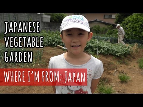 日本の菜園を訪ねて (A Visit to a Japanese Vegetable Garden)