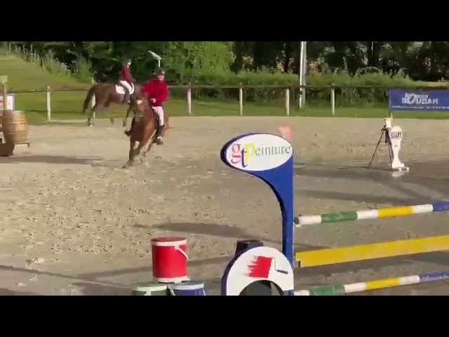 Poney 11 ans 1m48 à louer ou à vendre