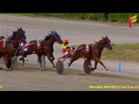 II Corsa del 28 settembre 2022 - Cat. C/D - Metri 1600