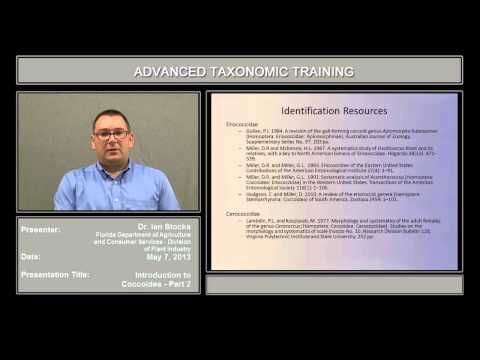 Introduction to Coccoidea - part 2