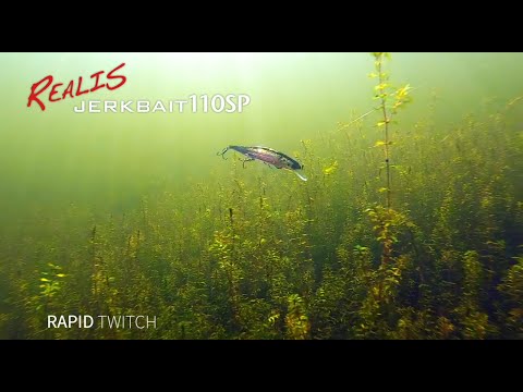 Advanced Lure Instruction - Realis Jerkbait pt .1