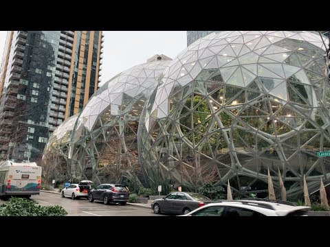 I Got Invited to Check Out the Amazon Spheres