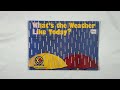 What S The Weather Like Today Adapted By Roxanne Lanczak Williams Illustrated By Adjoa J Burrows
