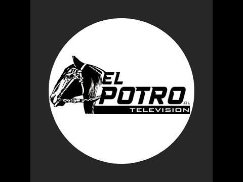 ENTREVISTAS A LOS CAMPEONES - RODEO INTER ASOCIACIONES - CLUB RODEO SAN VICENTE TAGUA TAGUA