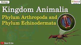 Kingdom Animalia: Phylum Arthropoda and  Phylum Echinodermata | iKen | iKen App | iKen Edu