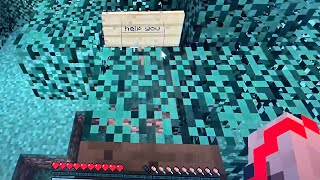 I tested the real entity 303 seed in Minecraft java and found something I was not expecting.