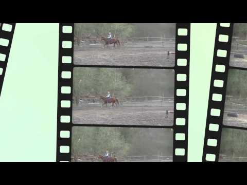 Parelli Freestyle Fun with Juliano