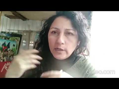 Artistas Mapuches en el medio rural