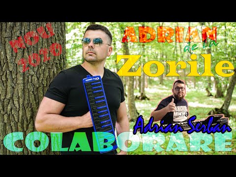 💥 Zorile din Galati - ⚡ O noua colaborare online  ⚡ 🎹 ‼ #2020 ‼