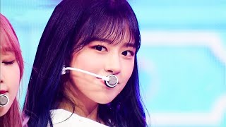 IZ*ONE(아이즈원) - 해바라기(Hey. Bae. Like it.) 교차편집(stage mix)