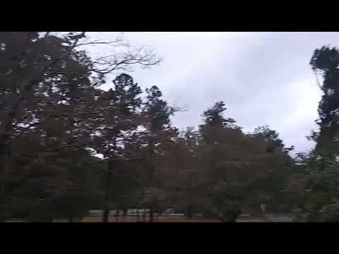 Gusty winds from Post-Tropical Cyclone #ian  -  Elizabethtown, NC  -  September 30, 2022