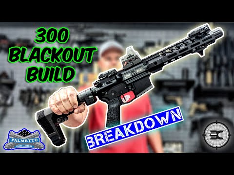 PSA 300 blackout build //Breakdown