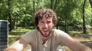 Solar-Powered Livestream in the Woods ROUND 2