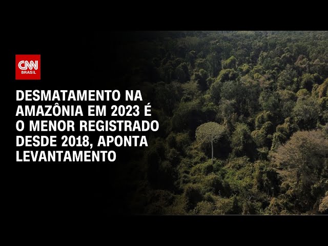 Desmatamento na Amaz&ocirc;nia em 2023 &eacute; o menor registrado desde 2018, diz Imazon  | CNN Brasil