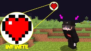 Why I Stole Infinite Hearts With 1 Glitch In This Minecraft SMP...