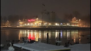 Walking Port Credit In Mississauga (Snowfall Warning)