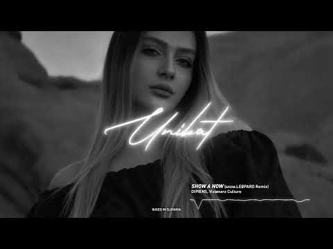 DIPIENS & Vizionerz Culture - Show A Now (snow.LEØPARD Remix)