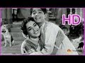 Mamidi Komma Malli Malli Telugu Evergreen Song Ramu NTR Jamuna S Varalakshmi HD
