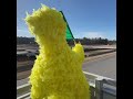 Big Bird Goes Racing Shorts Sesamestreet Cars Racing