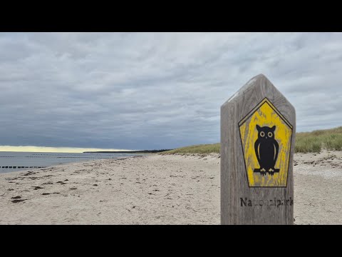 Fototour Ostsee, Darß Prerow I German Wildlife Fotografie