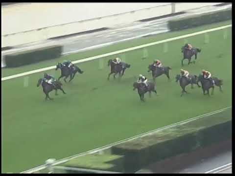 2020-08-02 Race 3(0328) - THE BARNET