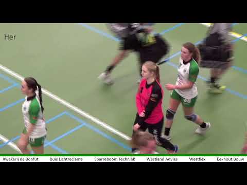 Quintus DS2  - Hercules DS1