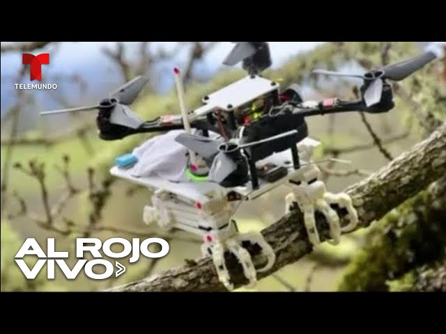 Vídeo relacionado con Falcon en equipo mecánico steampunk, pájaro vibrante Sudadera