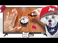 Buttered Side Down Making Cookies And Making Cupcakes Reaction By Chopsicle The Dog