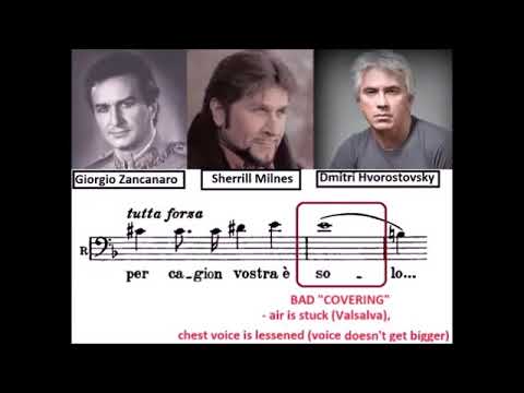 GIRARE & COVER male voices