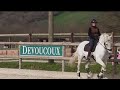 Hongre - Lusitanien - 10 ans - Dressage - PSG - France