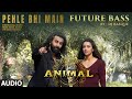 Pehle Bhi Main (Future Bass) Audio | DJ Basque | Ranbir Kapoor,Tripti Dimri | Vishal Mishra | Animal