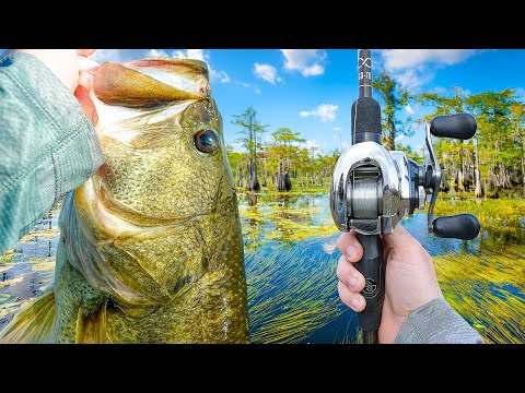 Fishing A Mysterious Swamp For TROPHY Bass (Unknown Waters)