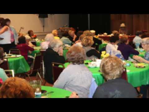 Newton Lifelong Learning