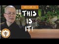 This is It! | Dharma talk by Sister Thệ Nghiêm, 2017.09.15 (DPM)