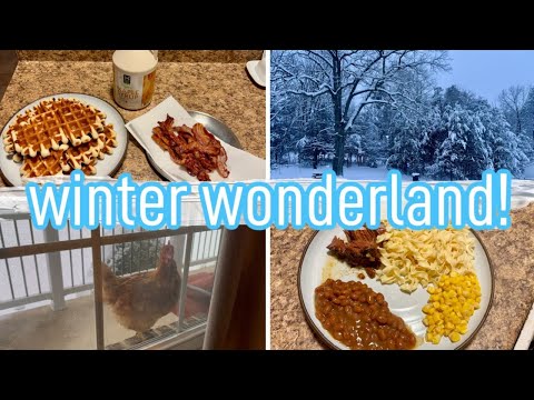 KOREAN BEEF ROAST & SMOOTHIES!