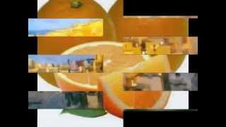 Stan Getz -- Intoit Slideshow