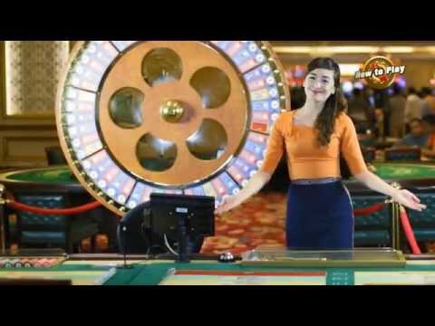 카지노게임 머니휠(Money Wheel) 완벽 가이드