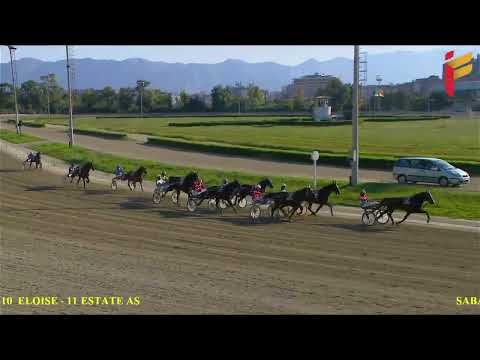 IV Corsa del 22 ottobre 2022 - 5 Anni ed oltre - Metri 2000