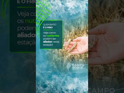 Reels Campo Forte 03