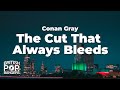 Conan Gray The Cut That Always Bleeds Lyrics