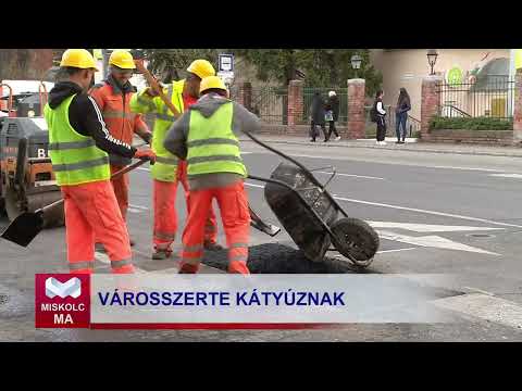 Videó előnézet