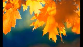 The Police- Miss Gradenko (Long Version)