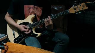 I’m Not Afraid of Life (Ramones Guitar Cover)
